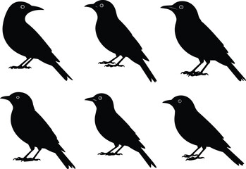 Set of Minimalist black bird perched and looking sideways alert silhouette vector icon