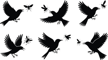 Obraz premium Set of Minimalist black bird chasing an insect in flight mid-air silhouette vector icon