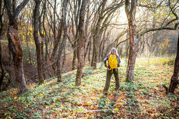 Obraz premium Blonde woman standing on quiet trail in autumn forest near sunlight with yellow backpack. Mindful forest lifestyle improving mental health
