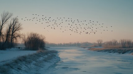 Birds flying over frozen river in winter landscape