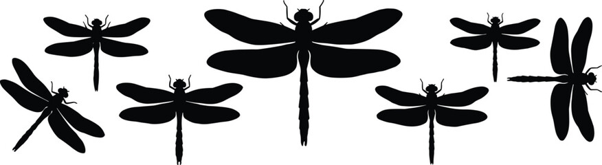 WebDragonfly silhouette set illustration featuring multiple flying insect poses, black and white nature vector art for decorative design projects © Asia