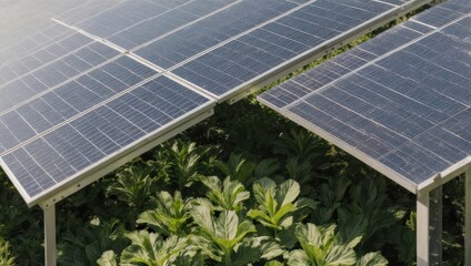 Solar panels over lush green plants, sustainable energy concept.