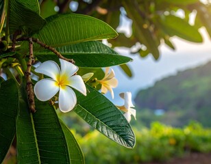 Close-up of delicate white and yellow flowers amidst lush green leaves, with a blurred hillside and sky in the distance