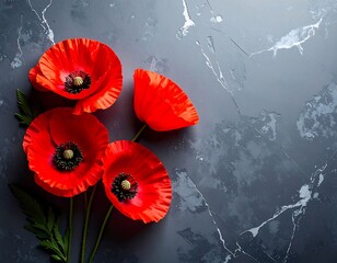 Four vibrant, open scarlet blossoms with dark centers and green foliage against a cool, textured dark grey background