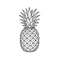 Pineapple fruit line art illustration on gray background for coloring book page