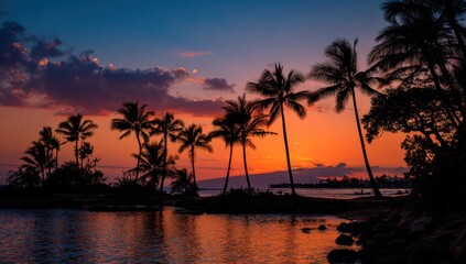Silhouetted palm trees at sunset over tranquil water