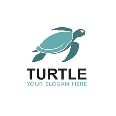 sea turtle icon isolated on white background
