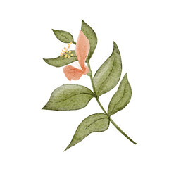 Green leafy branch with flower textured watercolor illustration isolated on white. Hand-painted clip art ideal for botanical branding, eco packaging, wedding stationery, cards, spring decor projects