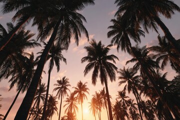 Fototapeta premium Palm trees at sunset