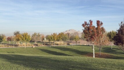 Obraz premium Autumn Landscape in Henderson Nevada Park with Colorful Trees and Mountain View. Vibrant fall foliage, green lawns, and dry grass under a blue sky.