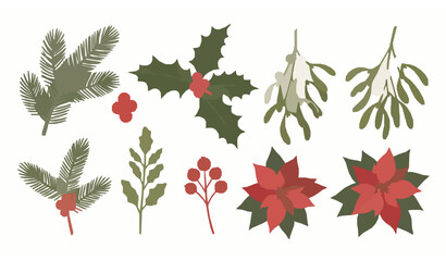 Christmas botanical winter plant vector set with pine holly mistletoe poinsettia and berries © SobujChandra