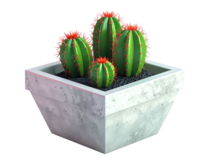 Four bright cacti with red tips in a square concrete planter