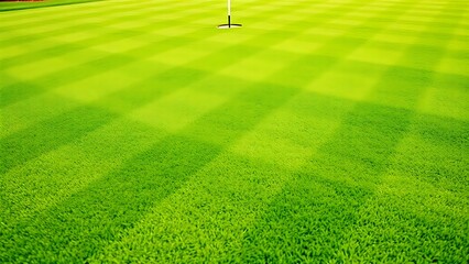 ryegrass. Manicured ryegrass on golf course green with geometric mowing patterns in daylight. gardening catalogs, home-decor guides, designed for home decor and floral branding.