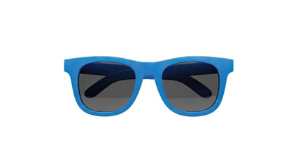 Blue Wayfarer Sunglasses