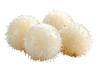 Close-up of four white, round, spiky, and succulent-like fruits
