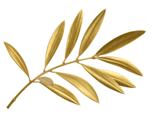 Gold olive branch with detailed leaves, set against a stark black background