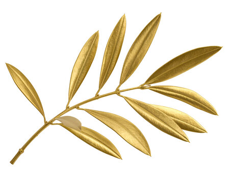 Gold olive branch with detailed leaves, set against a stark black background