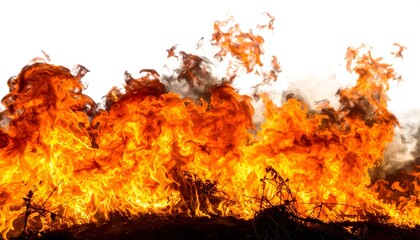 Close-up of intense flames with vibrant orange and red hues. The smoke darkens at the top. The fire is isolated against a white backdrop