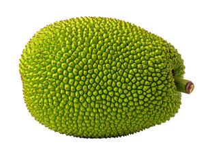 A large, textured, green fruit, oval shaped with a rough exterior