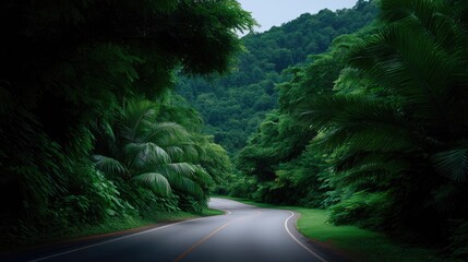 Fototapeta premium Serene Winding Road Surrounded by Lush Green Trees and Tropical Foliage in a Tranquil Nature Landscape