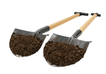 Two dirty industrial shovels with polished wooden handles isolated on a white studio background. Concept of durable professional-grade tools.