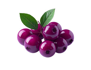 Clustered, shiny, dark purple berries with green leaves, black background