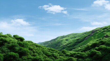 Lush Green Hills Under Clear Blue Sky with Gentle Clouds in the Background, Capturing the Beauty of Nature's Tranquility and Serenity in a Scenic Landscape