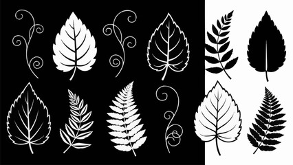 Collection of Hand Drawn Leaf Silhouettes and Swirls. © MAS