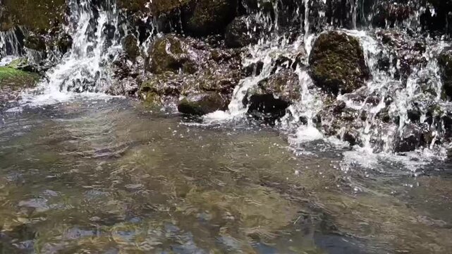river splash on mossy rock
