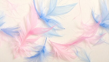 Gentle Petals of Color: Soft, pastel-colored feathers artfully arranged, creating a delicate dance of color and form, evoking a sense of lightness and grace.