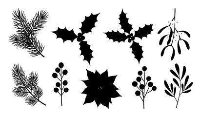 Hand drawn Christmas winter botanical decoration elements pine holly mistletoe and berries © MstNadiya