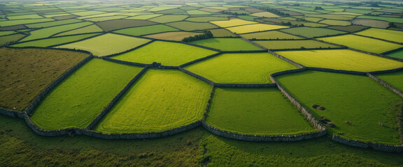 Aerial farmland field green pasture stone wall rural aerial farmland field green pasture stone wall rural landscape under soft daylight