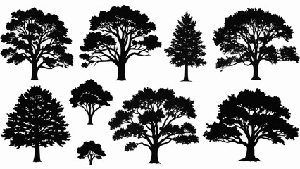 Collection of Silhouetted Trees in Various Shapes and Sizes. © Sikapat