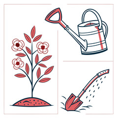 Basic Gardening Practices and Tools for a Beautiful Thriving Plant Life