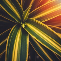 Vibrant Green and Yellow Tropical Plant.