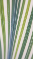 Vibrant Green Palm Frond Closeup.
