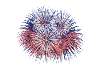 highly detailed red, white, and blue aerial fireworks burst captured with high-speed shutter, exploding against a transparent studio background. concept of national celebration and joy