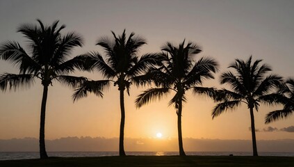 Palm trees stand silhouetted against a vibrant sunset sky near the ocean