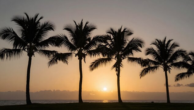 Palm trees stand silhouetted against a vibrant sunset sky near the ocean - Powered by Adobe
