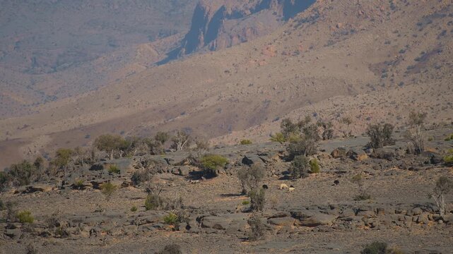 View of the rugged, dry, and rocky terrain in the remote Hajar Mountains of Oman, near the popular Wadi Bani Khalid oasis. The landscape showcases the harsh, natural beauty and geology of the Middle E
