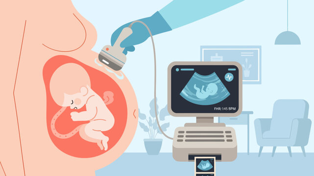 Illustration of a fetus being scanned by a doctor with an ultrasound machine in a medical setting.