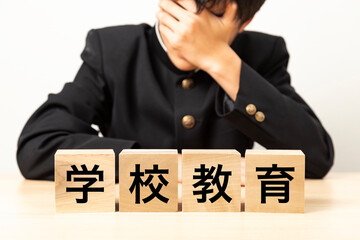 「学校教育」と書かれたブロックと悩む男子学生
