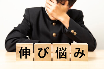 「伸び悩み」と書かれたブロックと悩む男子学生