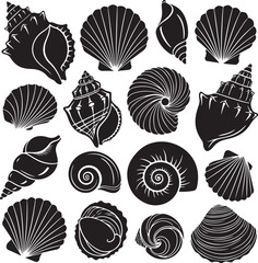Collection of seashell graphics on transparent background