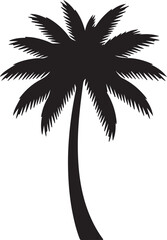 Palm tree silhouette