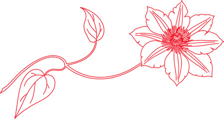 Pink Floral Branch Line Art Vector on Transparent Background