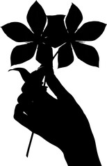 Decorative Floral Flower Ornament Vector on Transparent Background