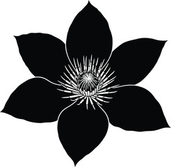 Decorative Floral Flower Ornament Vector on Transparent Background