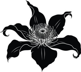 black and white floral ornament