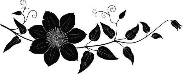 Decorative Botanical Flower Design Vector on Transparent Background